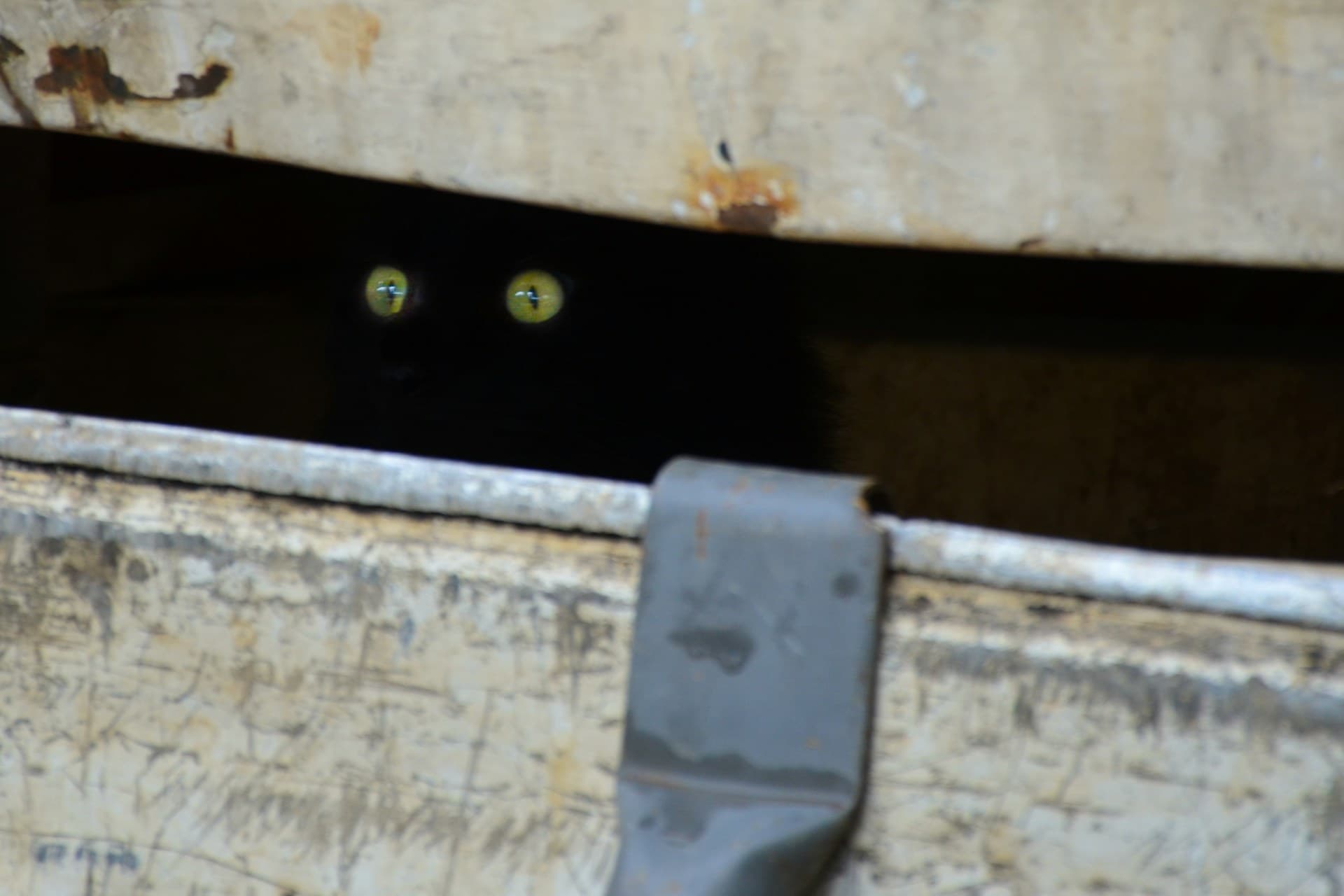 대체 어디서 Hydration 오류가 발생하는거야!!!